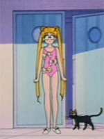 Sailor Moon / Sailor Moon 5  / 1  SailorMoon /  17.  - ?     / 