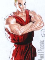 Tekken /  / Paul Phoenix / 