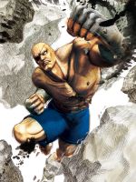 Street Fighter ( ) /  (characters) /  (Sagat) / 