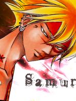 Samurai Deeper Kyo /  2 / 