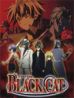 Black Cat (Черный кот)