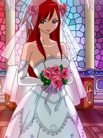Fairy Tale /  (characters) / Erza / 