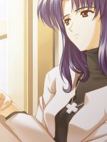 Neon Genesis Evangelion (  ) / Hentai 2 / 
