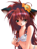 Catgirl Art /  - / Neco /  / 