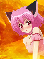 Tokyo Mew Mew/   /  / 