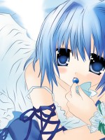 Sakurazawa Izumi /  / 