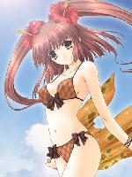 Kimizuka Aoi /  / 