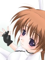 Nanoha Lyrical Magical Girl  /  / 