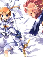 Nanoha Lyrical Magical Girl  /  / 