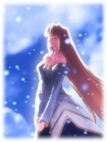 Shingetsutan Tsukihime/    /  / 