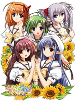 Shuffle / ! /  / 