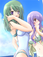 Komorebi no Namikimichi /  / 