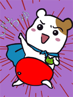 Oruchuban Ebichu /  / 
