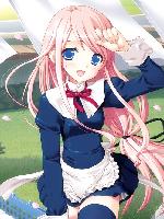 Sakura Sakura /  / 