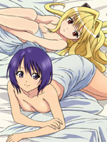 To Love Ru/ /To LOVEる -とらぶる- /  / 