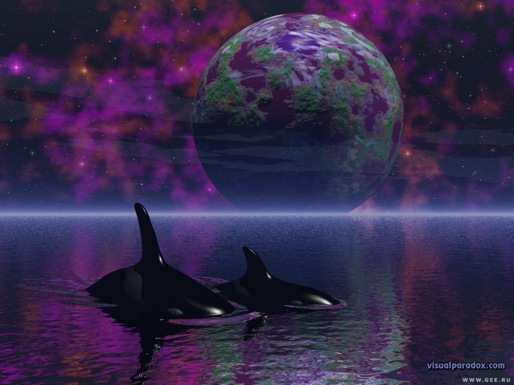 3D  