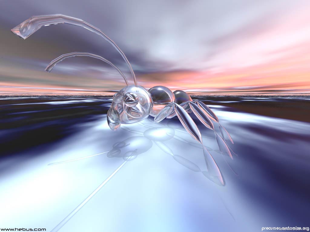 3D  