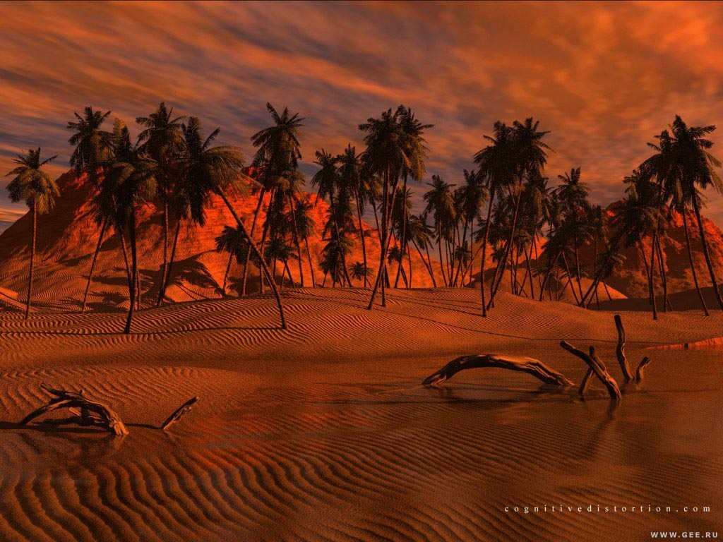 3D  