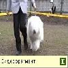  1514