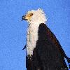  2190