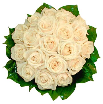  flowers flower    