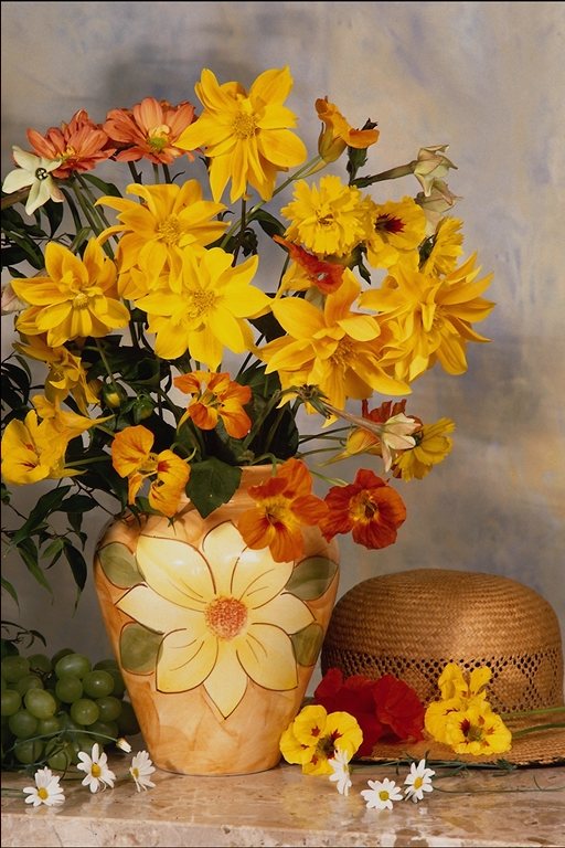  flowers flower    
