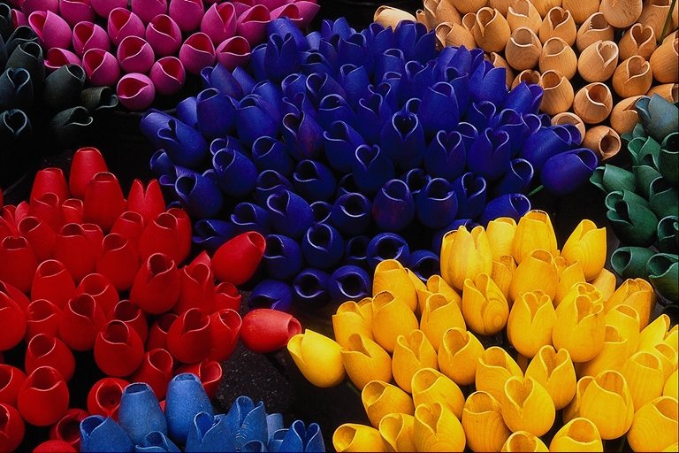  flowers flower    