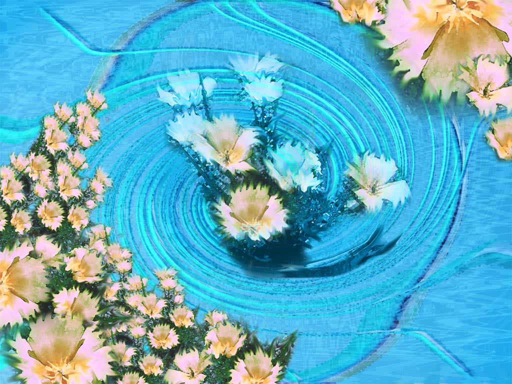  flowers flower    
