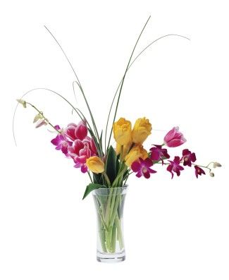  flowers flower    