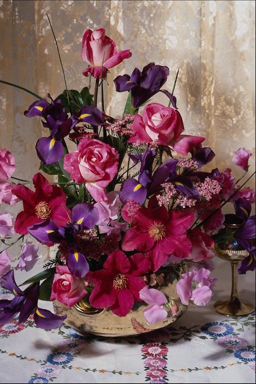  flowers flower    