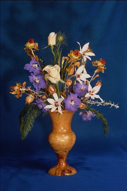  flowers flower    