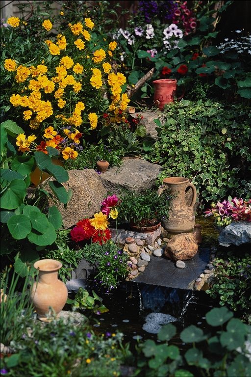  flowers flower    