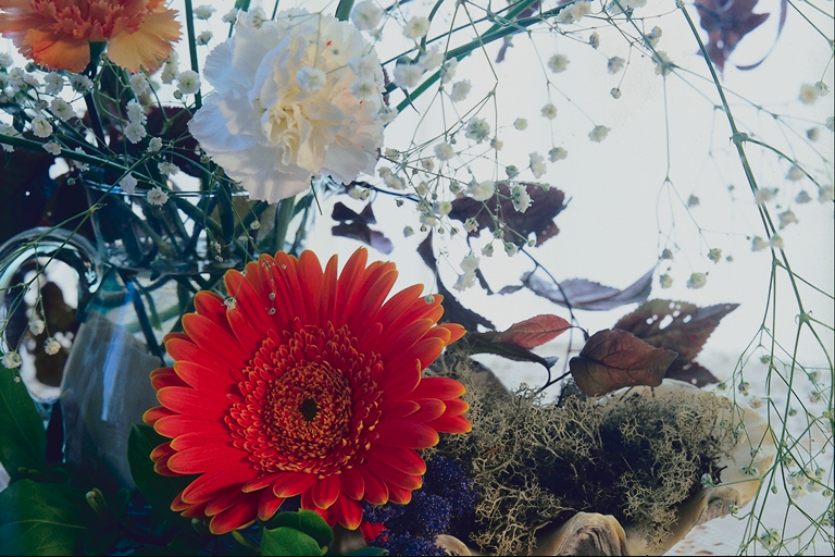  flowers flower    