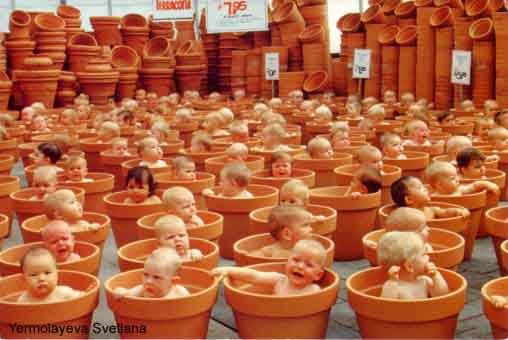 ���� - �����������  