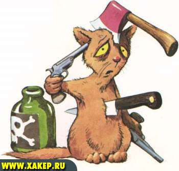 ���� - �����������  