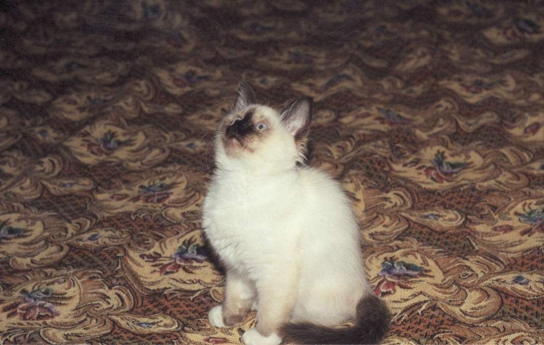  -   