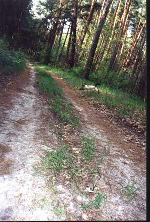 ���� - �����������  