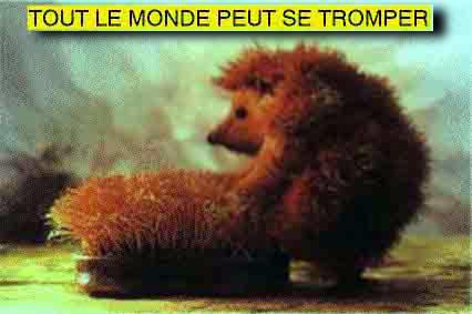 ���� - �����������  