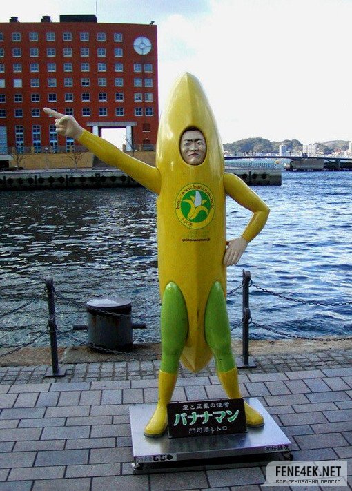 ���� ����� 3 