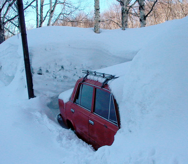 ���� ����� 3 