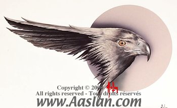         :
Ai Buel
Ai Moore
Alain Saguez
Alberto Vargas
Armando Huerta
Arnold Armitage
Art Frahm
Arthur Sarnoff
Aslan
Baron von Lind
Ben-Hur Baz
Betty Boop
BettyPage
Bill Medcalf
Bill Randall
Bill Ward
Billy DeVorss
Boris Lopez
Carlos Cartagena
Chio Maisriml
Chris Evenhuis
Coles Philips
DataBase
Dave Stevens
Don Seegmiller
Donald Rust
Drew Posada
E. Sims Campbell
Earl Mac Pherson
Earl Moran
Edvard dAncona
Edward Runci
Enoch Bolles
Erik Drudwyn
Frans Mensnik
Freeman Elliot
Fritz Willis
GARV
George Petty
Gil Elvgren
Giovanna Casotto
Gourdon Noir
GREG HIDEBRANDT
Hajime Sorayama
Harry Ekman
Hubert DeLatigue
Jack Henslee
Jean-Claude Claeys
Jennifer Janesko
Joe De Mers
Joyuse Ballantine
Jyl
K.O.Munson
Kevin J. Tailor
Kim Harlow
Leone Frollo
Mac Pherson
Marcus Gray
Mark Blanton
Mel Ramos
Milo Manara
Muriel s Graphix
Olivia de Bernardis
OnStart
Oscar
Otis Sweat
Patrick Nagel
Pearl Frush
Peter Driben
Raul Fernandez
Ricky Cerralero
Rolf Armstrong
Stephan Blondal
Steve Woron
Suzanne Meunier
T.N.Thomson
Ted Withers
Walt Otto
Walter Girotto
Wetz
yoshi
Yves Plateau
Zage
Zol Mozert
  