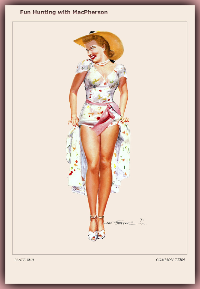         :
Ai Buel
Ai Moore
Alain Saguez
Alberto Vargas
Armando Huerta
Arnold Armitage
Art Frahm
Arthur Sarnoff
Aslan
Baron von Lind
Ben-Hur Baz
Betty Boop
BettyPage
Bill Medcalf
Bill Randall
Bill Ward
Billy DeVorss
Boris Lopez
Carlos Cartagena
Chio Maisriml
Chris Evenhuis
Coles Philips
DataBase
Dave Stevens
Don Seegmiller
Donald Rust
Drew Posada
E. Sims Campbell
Earl Mac Pherson
Earl Moran
Edvard dAncona
Edward Runci
Enoch Bolles
Erik Drudwyn
Frans Mensnik
Freeman Elliot
Fritz Willis
GARV
George Petty
Gil Elvgren
Giovanna Casotto
Gourdon Noir
GREG HIDEBRANDT
Hajime Sorayama
Harry Ekman
Hubert DeLatigue
Jack Henslee
Jean-Claude Claeys
Jennifer Janesko
Joe De Mers
Joyuse Ballantine
Jyl
K.O.Munson
Kevin J. Tailor
Kim Harlow
Leone Frollo
Mac Pherson
Marcus Gray
Mark Blanton
Mel Ramos
Milo Manara
Muriel s Graphix
Olivia de Bernardis
OnStart
Oscar
Otis Sweat
Patrick Nagel
Pearl Frush
Peter Driben
Raul Fernandez
Ricky Cerralero
Rolf Armstrong
Stephan Blondal
Steve Woron
Suzanne Meunier
T.N.Thomson
Ted Withers
Walt Otto
Walter Girotto
Wetz
yoshi
Yves Plateau
Zage
Zol Mozert
  