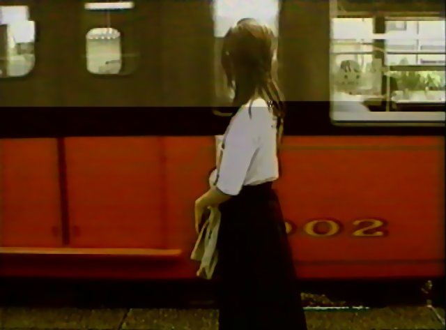 Megumi Hayashibara 