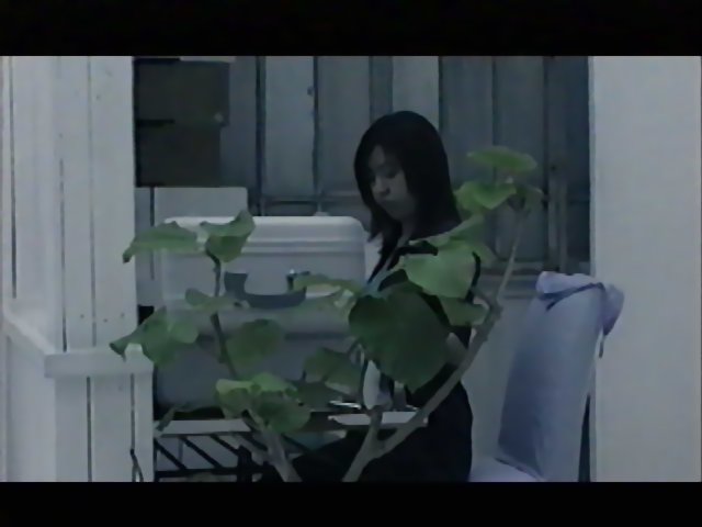 Megumi Hayashibara 