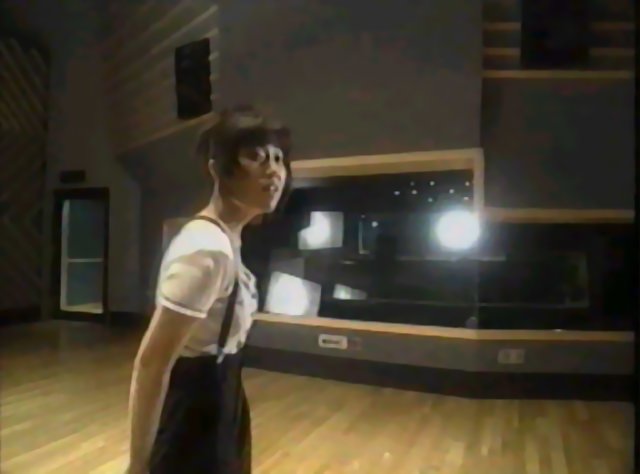 Megumi Hayashibara 
