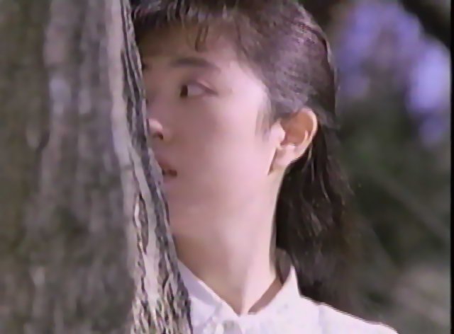 Megumi Hayashibara 