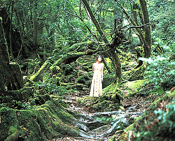 Megumi Hayashibara 