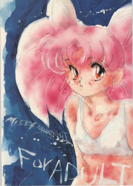  chibi usa  saylor c sailor         eros hentai