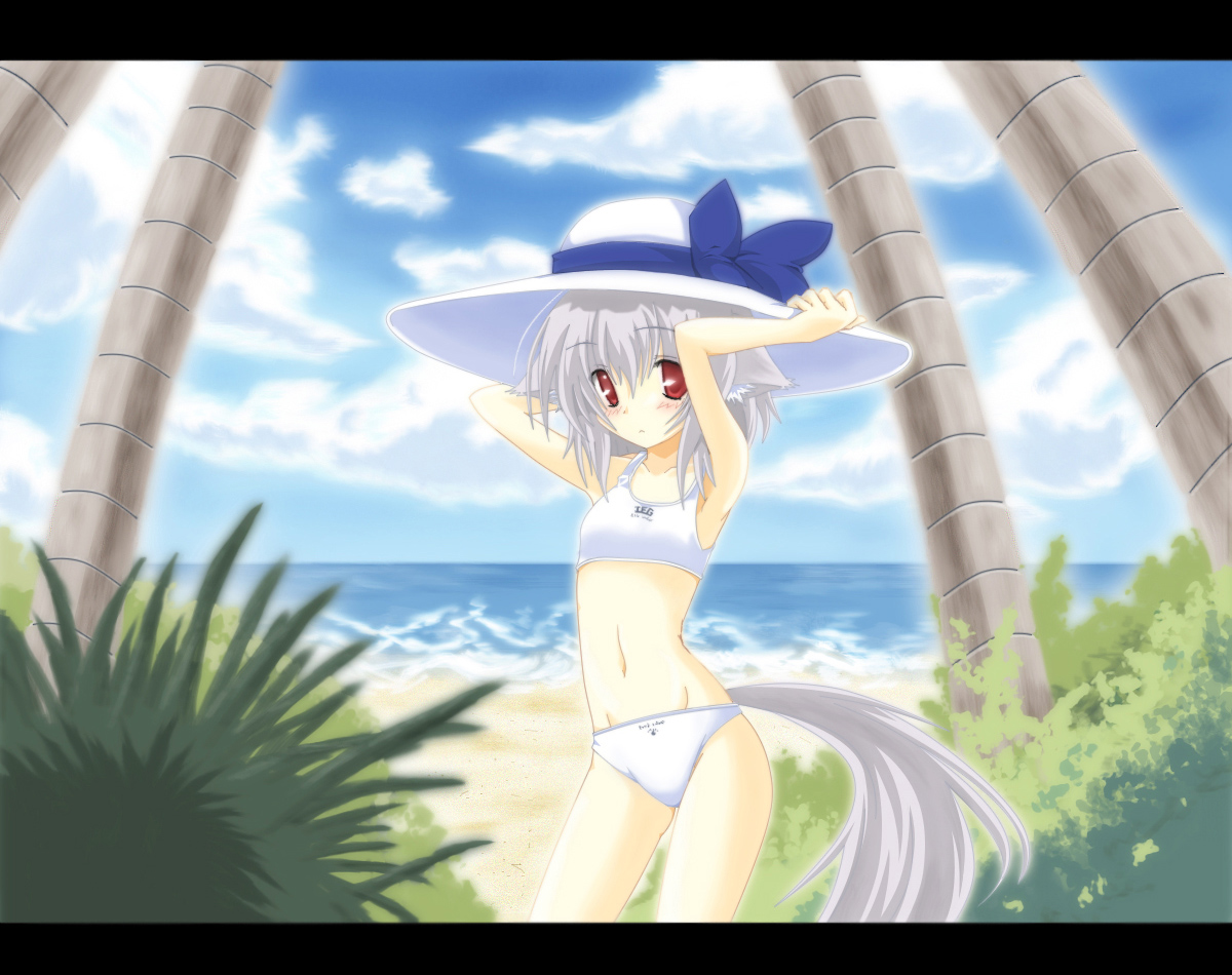 Ecchi Ecchi ,  , 