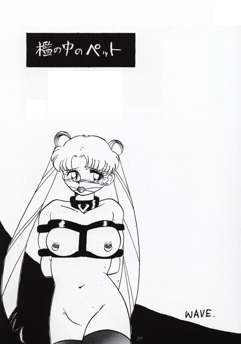 SailorMoon / /         sailormoon sailor moon saylor c sailor  saylor c sailor         eros hentai